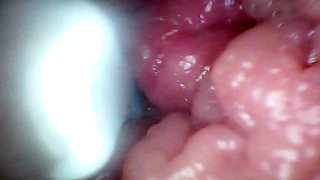 Endoscope Camera Records My Wife's G Spot. Educational Video Close up