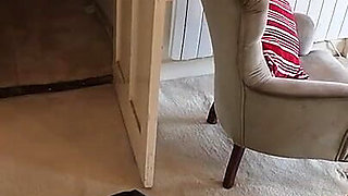 Zero Sees the New House for the First Time!