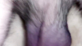 Hairy balls and hairy clit with lot of sperm dripping