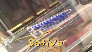 Sativa Rose has multiracial orgy to sate her cunny
